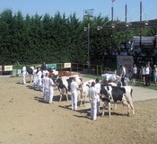 Agrokomplex Nitra 2009